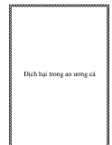 Địch hại trong ao ương cá