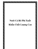 Nuôi Cá Rô Phi Xuất Khẩu Chất Lượng Cao