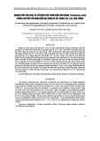 BÁO CÁO " NGHIÊN CỨU SẢN XUẤT VÀ SỬ DỤNG CHẾ PHẨM NẤM ĐỐI KHÁNG Trichoderma viride PHÒNG TRỪ MỘT SỐ BỆNH NẤM HẠI VÙNG RỄ CÂY KHOAI TÂY, LẠC, ĐẬU TƯƠNG "