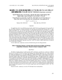 BÁO CÁO " ẢNH HƯỞNG CỦA MẬT ĐỘ LÊN SINH TRƯỞNG VÀ TỶ LỆ SỐNG CỦA TÔM CHÂN TRẮNG SPF NUÔI THƯƠNG PHẨM TRONG BỂ COMPOSIT TRONG NHÀ (Litopenaeus vannamei) "