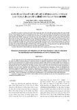 BÁO CÁO " NGHIÊN CỨU QUY TRÌNH KỸ THUẬT CHIẾT XUẤT VÀ SỬ DỤNG 2-ACETYL-1-PYRROLINE (2-AP) TRONG LÁ DỨA LÀM CHẤT CHUẨN ĐỂ PHÂN TÍCH 2-AP TRONG GẠO THƠM "