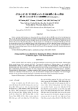 BÁO CÁO " SỬ DỤNG VẬT LIỆU TỬ DIỆP ĐỂ NGHIÊN CỨU ẢNH HƯỞNG CỦA MUỐI ĂN ĐỐI VỚI QUANG HỢP Ở CÂY MAI DƯƠNG (Mimosa pigra L.) "