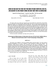 BÁO CÁO " ĐÁNH GIÁ HIỆU QUẢ CAN THIỆP ĐẾN TÌNH HÌNH SỬ DỤNG PHẨM MÀU, HÀN THE, ACID BENZOIC VÀ ACID SORBIC TRONG CHẾ BIẾN THỰC PHẨM TẠI QUẢNG BÌNH "