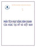 Tiểu luận:Phân tích hoạt động kinh doanh của HSBC tại Mỹ và Việt Nam
