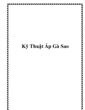 Kỹ Thuật Ấp Gà Sao