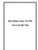 Bón Phân Giảm Chi Phí Cho Lúa Hè Thu