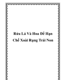 Rửa Lá Và Hoa Để Hạn Chế Xoài Rụng Trái Non