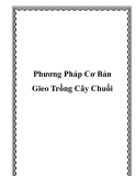 Phương Pháp Cơ Bản Gieo Trồng Cây Chuối