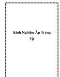 Kinh Nghiệm Ấp Trứng Vịt