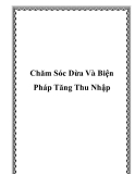 Chăm Sóc Dừa Và Biện Pháp Tăng Thu Nhập