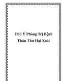 Chú Ý Phòng Trị Bệnh Thán Thư Hại Xoài