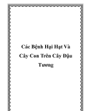 Các Bệnh Hại Hạt Và Cây Con Trên Cây Đậu Tương