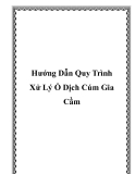 Hướng Dẫn Quy Trình Xử Lý Ổ Dịch Cúm Gia Cầm