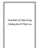 Nuôi Khô Vịt Thịt Trong Chuồng Kín Ở Thái Lan