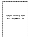 Nguyên Nhân Gây Bệnh Tiêu Chảy Ở Heo Con