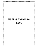 Kỹ Thuật Nuôi Gà Sao Bố Mẹ