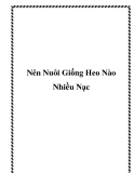 Nên Nuôi Giống Heo Nào Nhiều Nạc