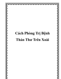 Cách Phòng Trị Bệnh Thán Thư Trên Xoài