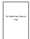 Kỹ Thuật Chọn Chân Gà Chọi