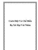 Cách Diệt Và Chế Biến Bọ Xít Hại Vải Nhãn