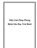 Một Giải Pháp Phòng Bệnh Sâu Đục Trái Bưởi