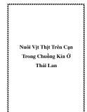 Nuôi Vịt Thịt Trên Cạn Trong Chuồng Kín Ở Thái Lan