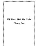 Kỹ Thuật Sinh Sản Chồn Nhung Đen