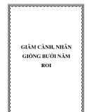 GIÂM CÀNH, NHÂN GIỐNG BƯỞI NĂM ROI