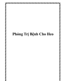 Phỏng Trị Bệnh Cho Heo