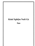 Kinh Nghiệm Nuôi Gà Sao