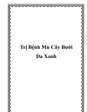 Trị Bệnh Mủ Cây Bưởi Da Xanh