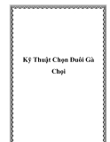 Kỹ Thuật Chọn Đuôi Gà Chọi