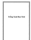 Trồng Xoài Bao Trái