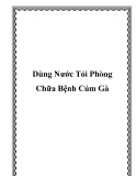 Dùng Nước Tỏi Phòng Chữa Bệnh Cúm Gà