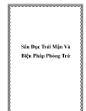 Sâu Đục Trái Mận Và Biện Pháp Phòng Trừ