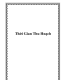 Thời Gian Thu Hoạch