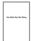 Sâu Bệnh Sầu Riêng