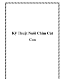 Kỹ Thuật Nuôi Chim Cút Con