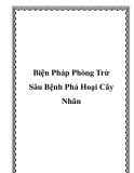 Biện Pháp Phòng Trừ Sâu Bệnh Phá Hoại Cây Nhãn