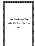 Nuôi Heo Bằng Công Nghệ EM Đạt Hiệu Quả Cao