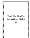 Chuối Tiêu Hồng Phù Hợp Với Đồng Đất Đại Từ