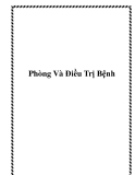 Phòng Và Điều Trị Bệnh.I.Một Số Bệnh Thường Gặp Ở Bò: 1. Bệnh tụ huyết trùng: + Nguyên nhân: do vi trùng Pastuerella Bioseptica, bệnh thường xảy ra cùng với dịch tụ huyết trùng trên đàn trâu. Ở Lâm Đồng bệnh xảy ra quanh năm do mùa mưa ẩm độ cao, mùa kh