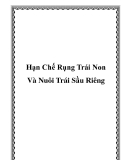 Hạn Chế Rụng Trái Non Và Nuôi Trái Sầu Riêng