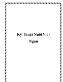 Kỹ Thuật Nuôi Vit Ngan