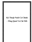 Kỹ Thuật Nuôi Cá Chình - Tổng Quát Và Chi Tiết