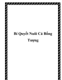 Bí Quyết Nuôi Cá Bống Tượng