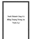 Nuôi Thành Công Cá Bống Tượng Trong Ao Nước Lợ