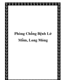 Phòng Chống Bệnh Lở Mồm, Long Móng