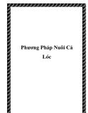 Phương Pháp Nuôi Cá Lóc