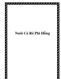 Nuôi Cá Rô Phi Hồng